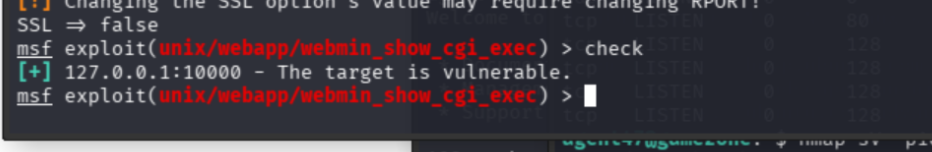 Metasploit check returning target is vulnerable after SSL set to false